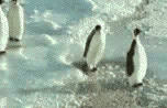 0290.gif