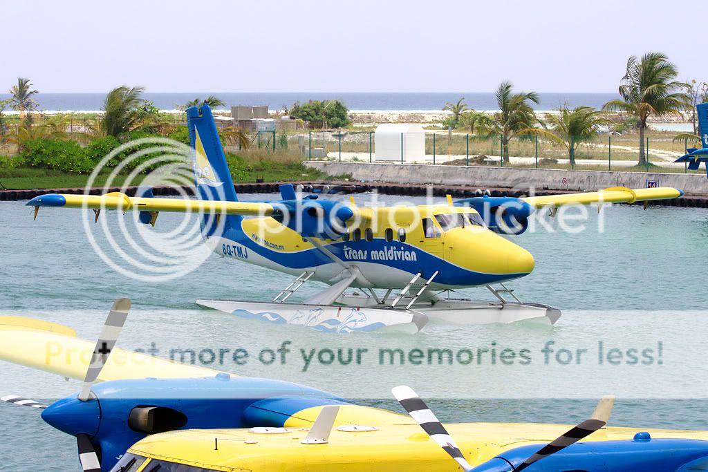 8Q-TMJMle190310_pp.jpg