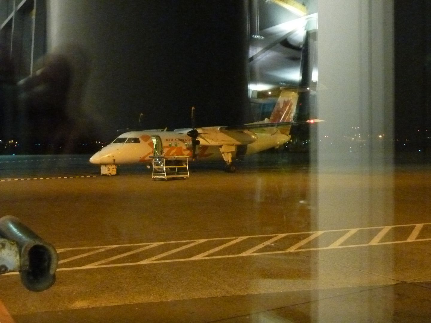 P1020317.jpg