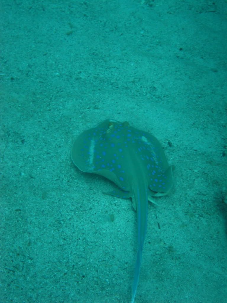 IMG_2301.jpg