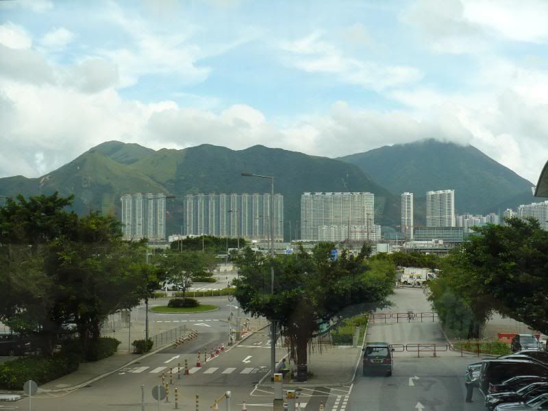 P1000342.jpg