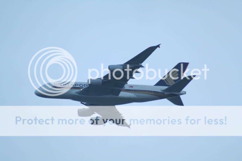 LHR279.jpg