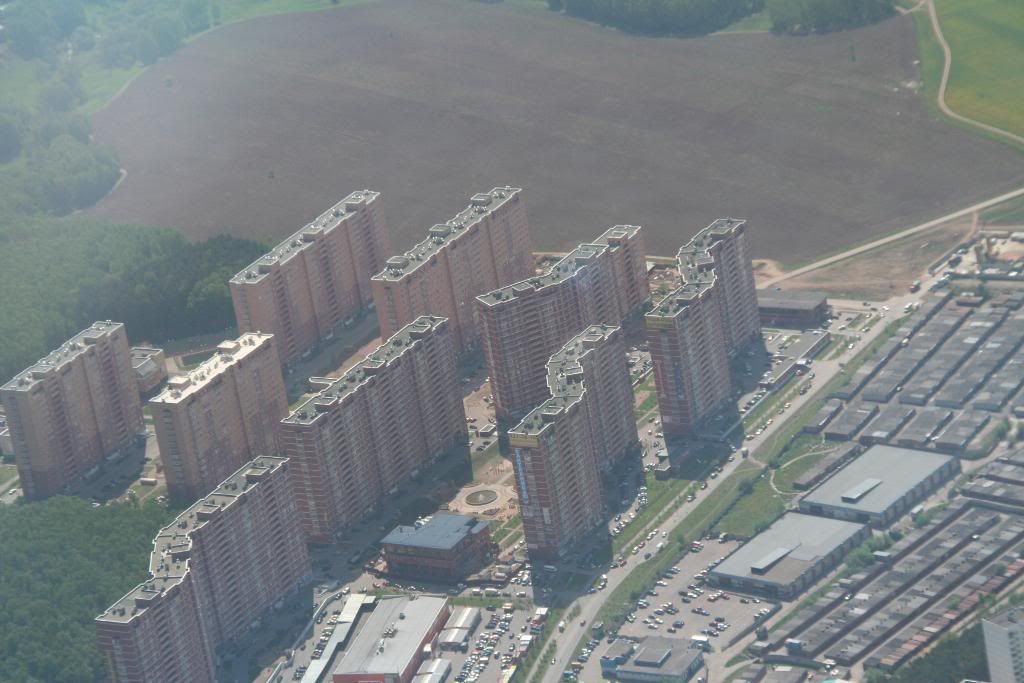 mosca74.jpg