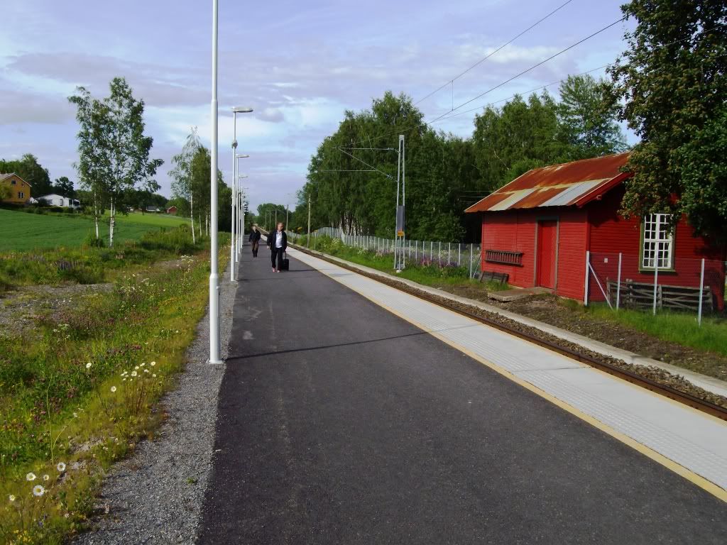 IMGP3217.jpg