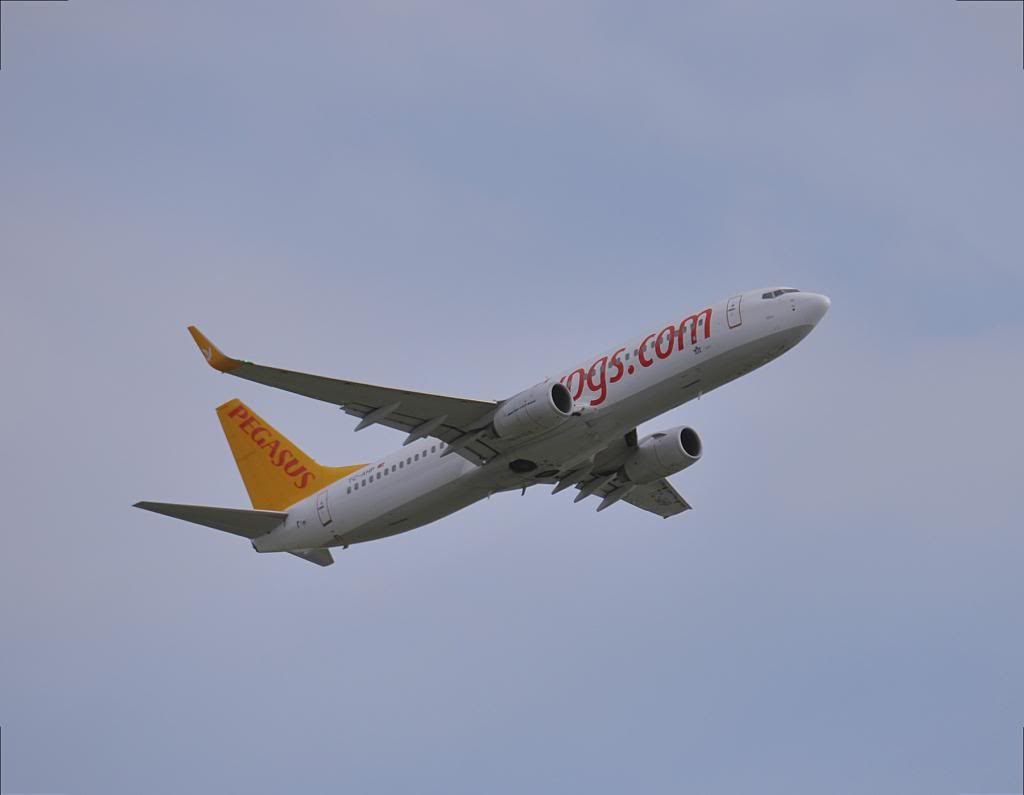 DSC_8455.jpg