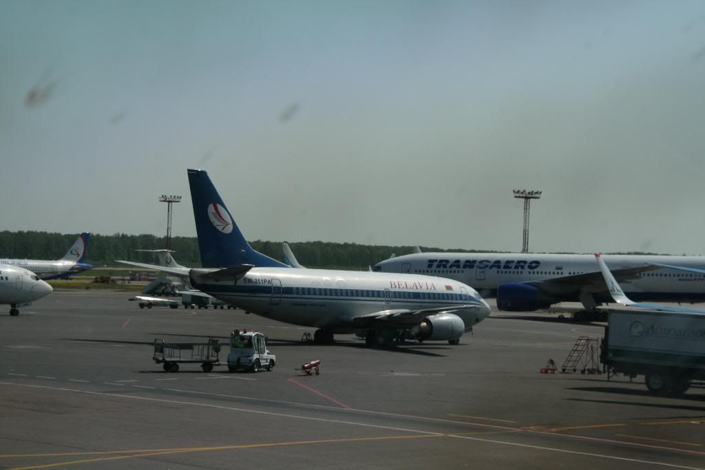 sharm108-1.jpg