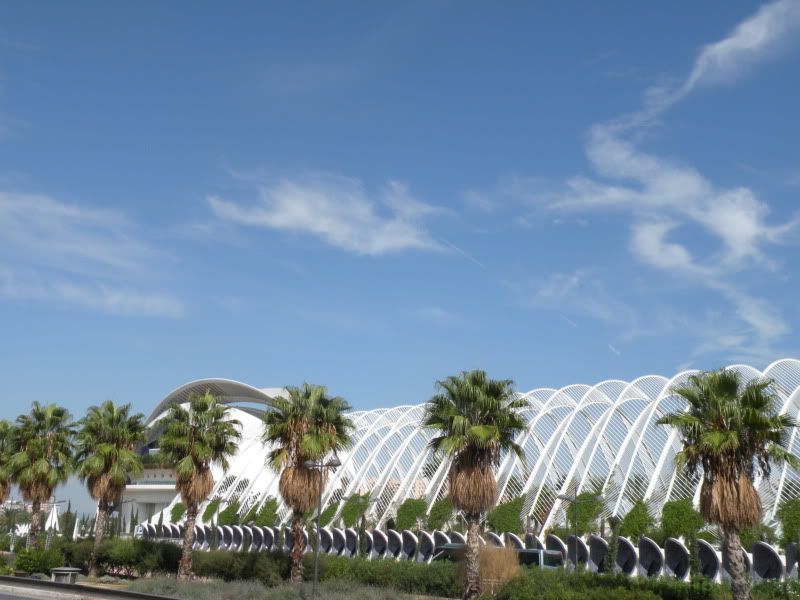 DSCN9052.jpg