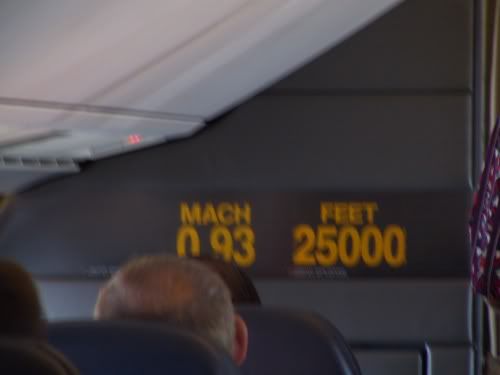 006_display3.jpg