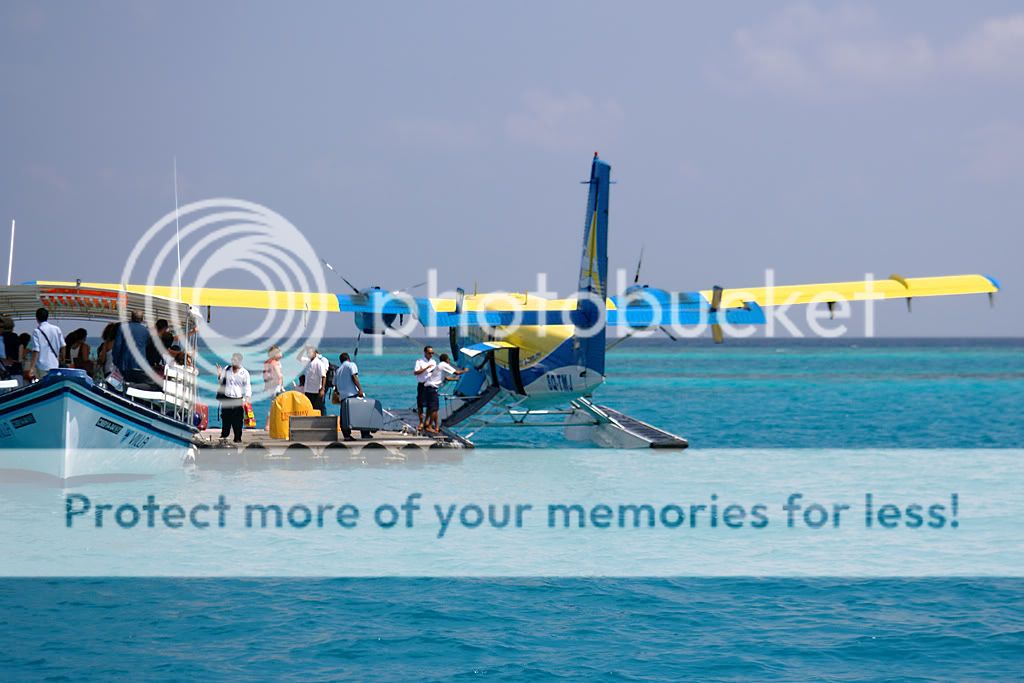 8Q-TMJ240310hi.jpg