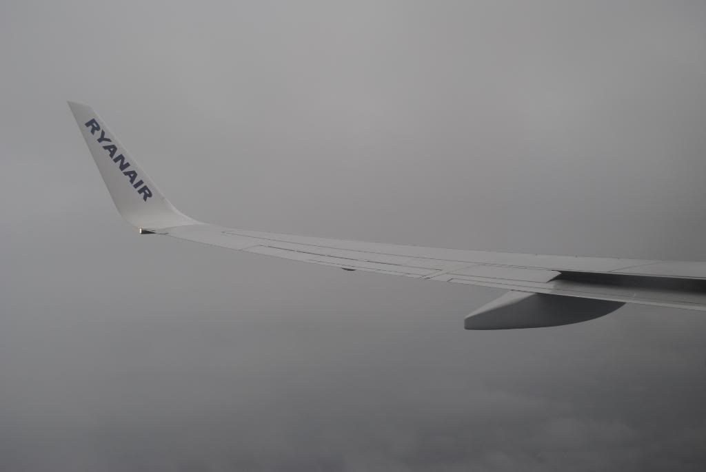DSC_0875.jpg
