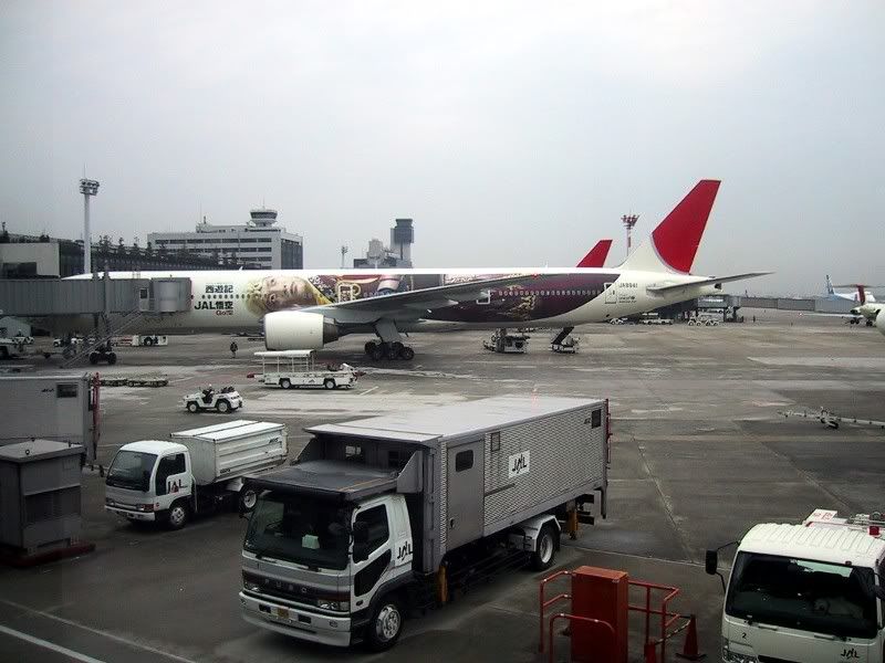 jal773_shingo1.jpg