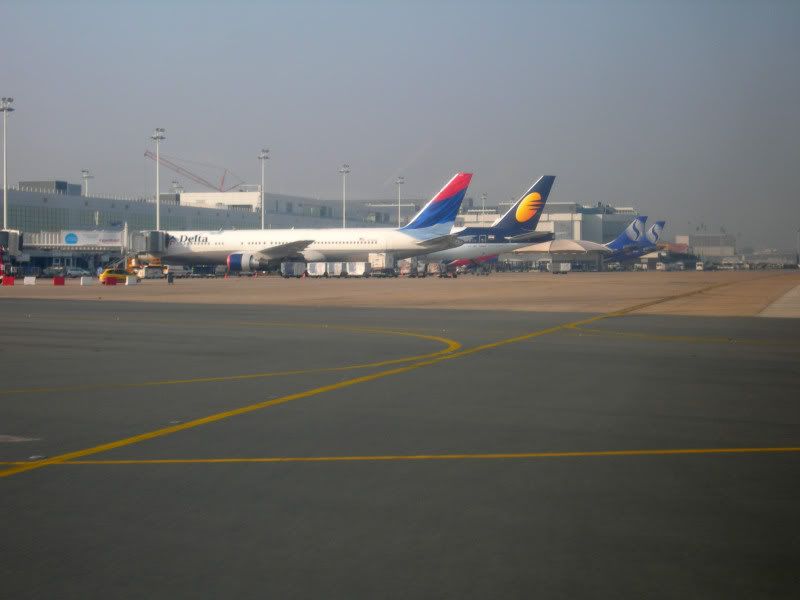 vcebru_08.jpg
