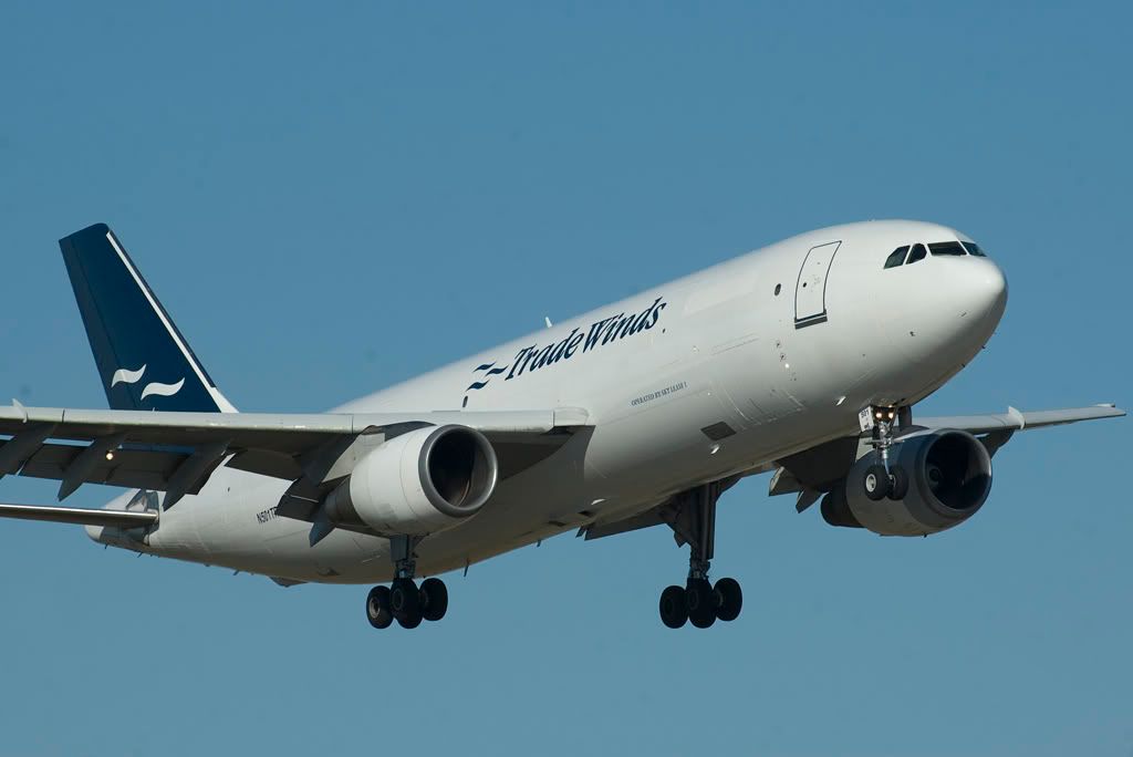 DSC_5330.jpg