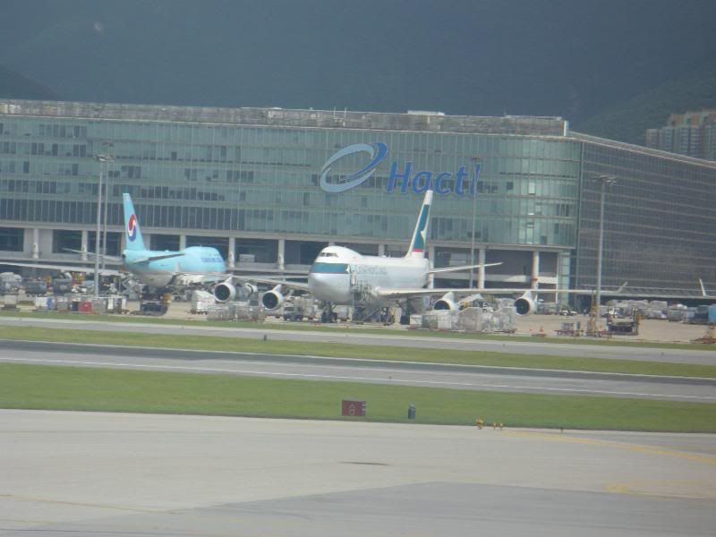 P1000335.jpg