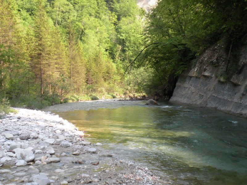 DSCN8455.jpg