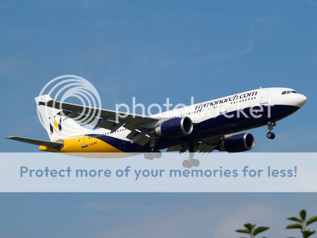 AM239515.jpg