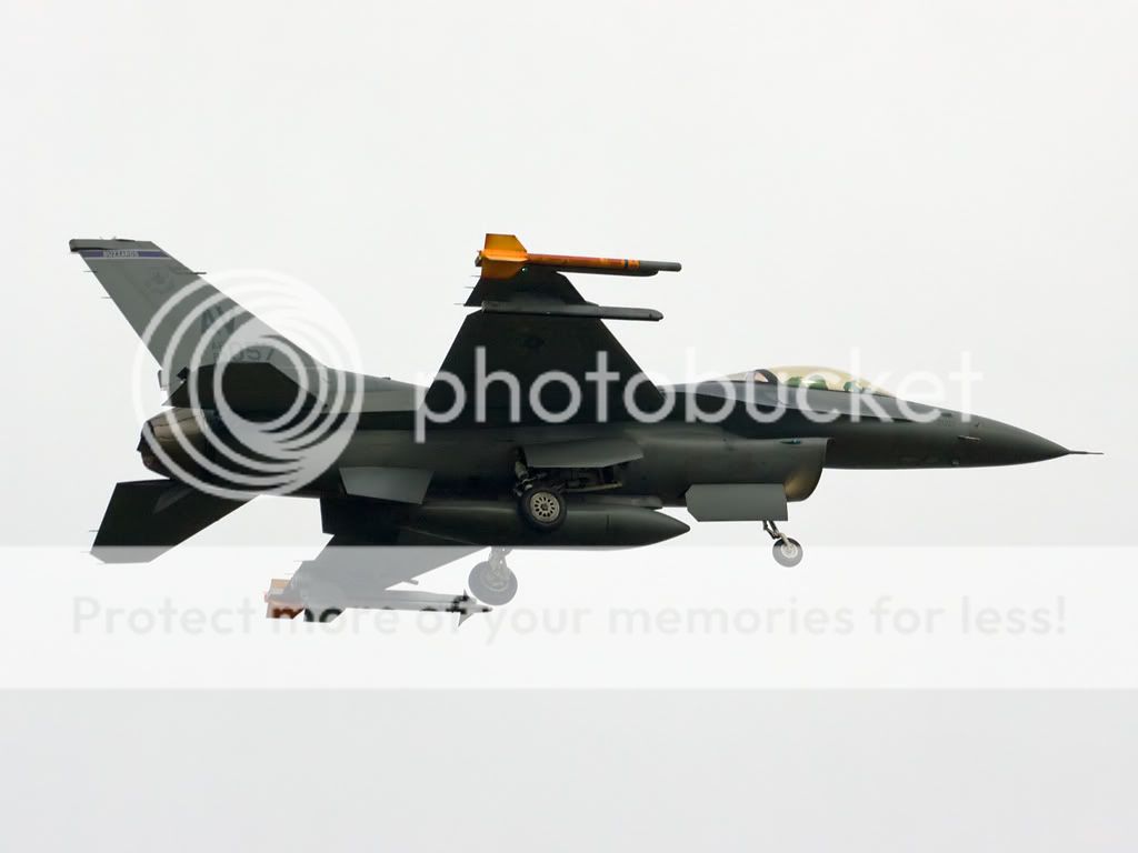 buzzard2.jpg