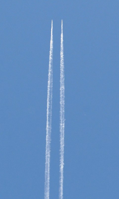 54650347528_8138f2d7e2_c.jpg
