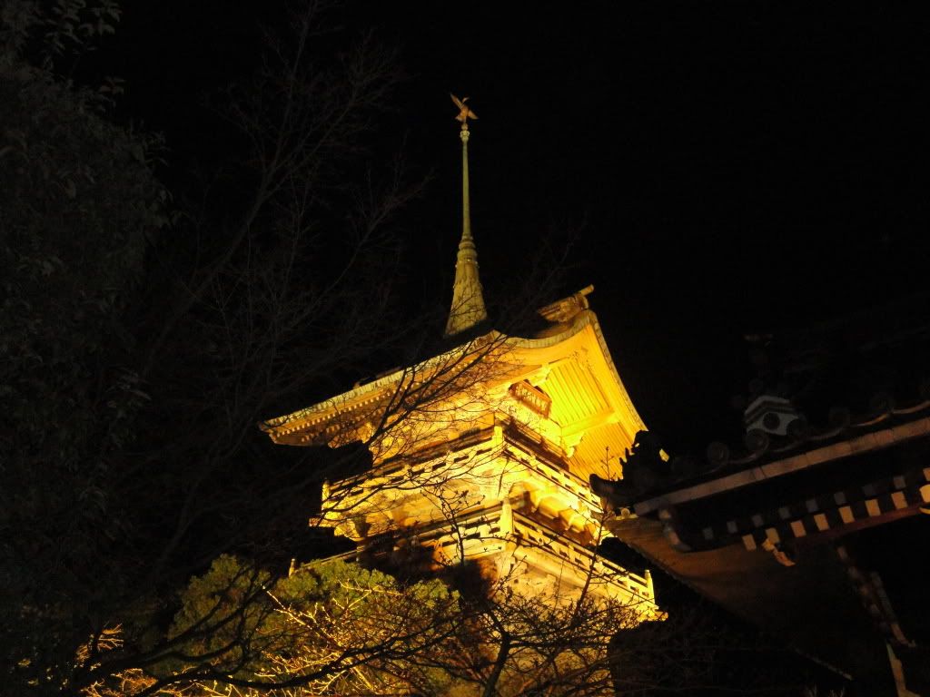 DSC01671.jpg