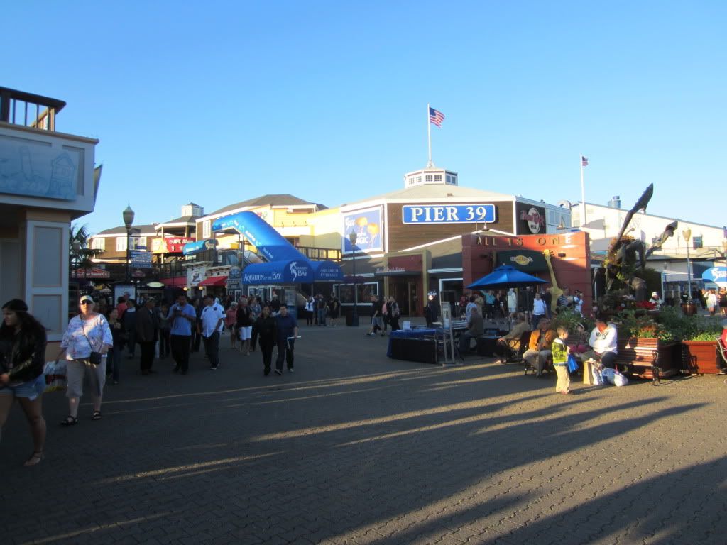 163.jpg