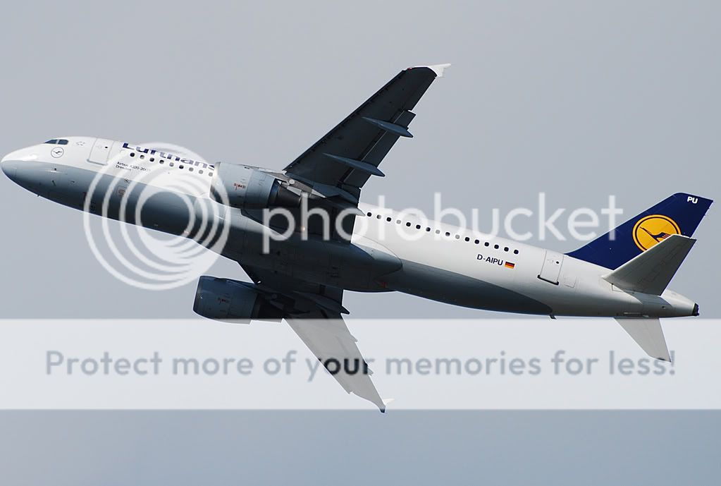 D-AIPU.jpg