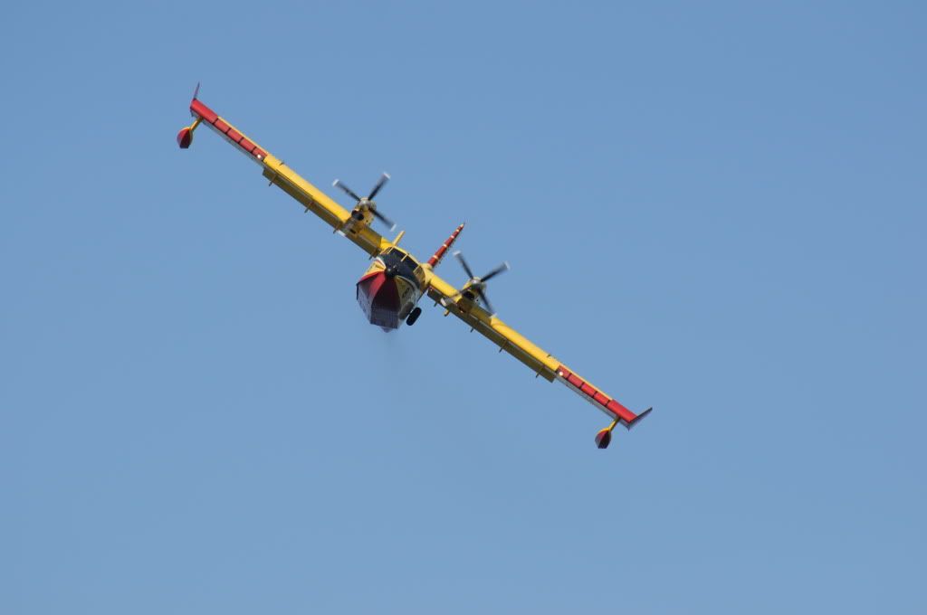 DSC_0448.jpg