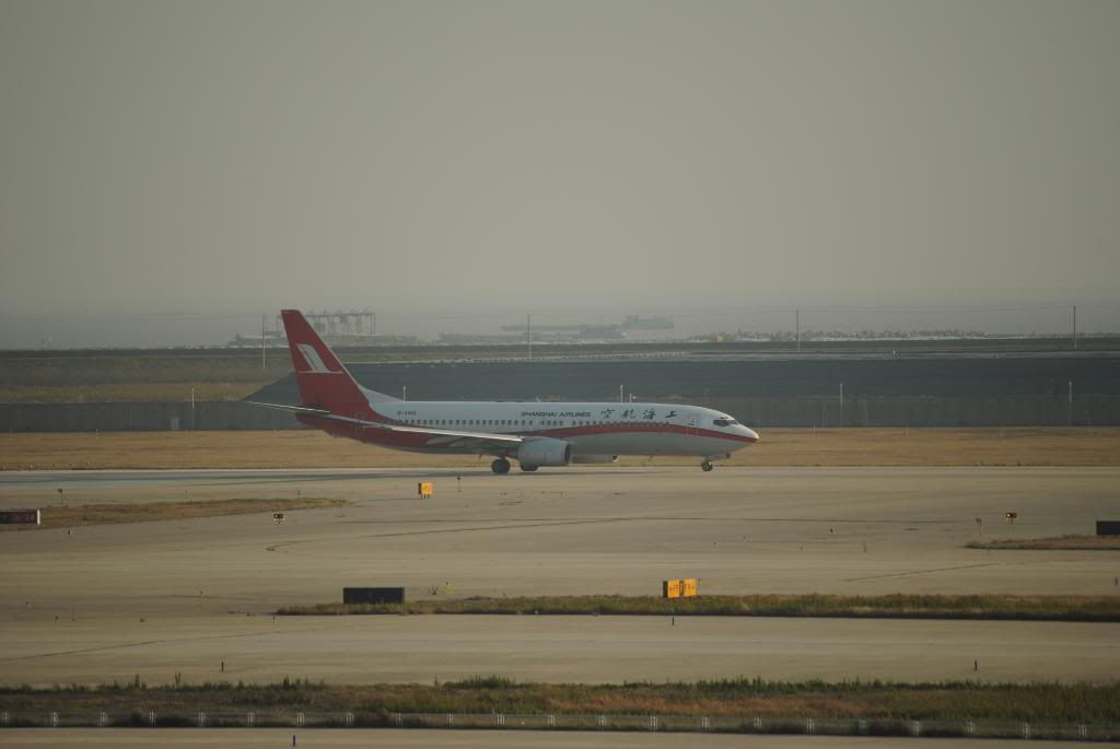 DSC_0129.jpg