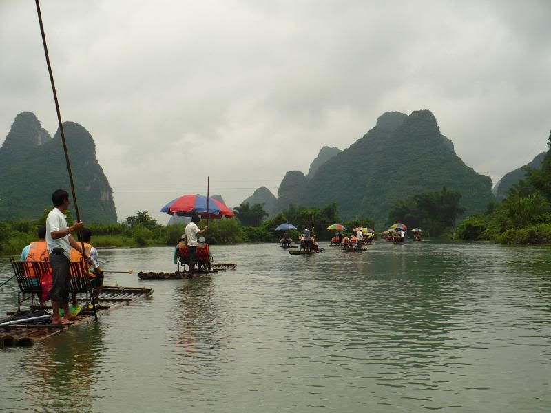 P1000708.jpg