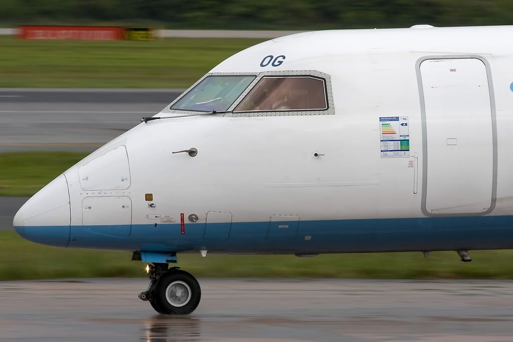 gecog2.jpg
