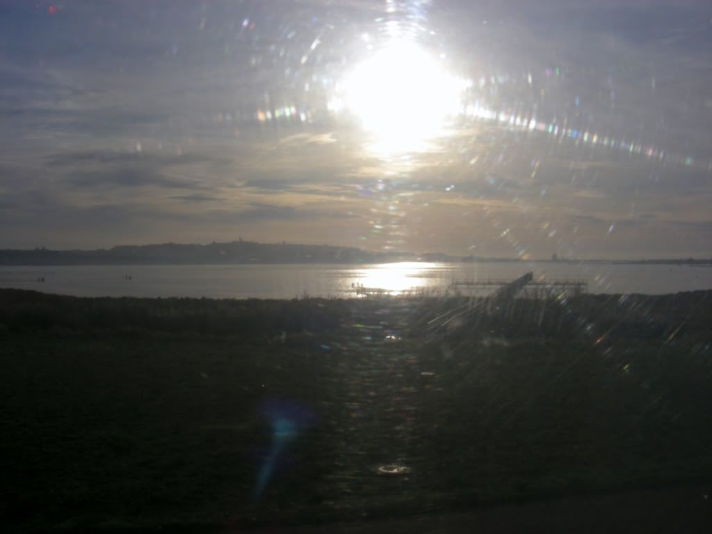 DSCN8219.jpg