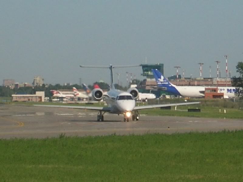 afr800.jpg