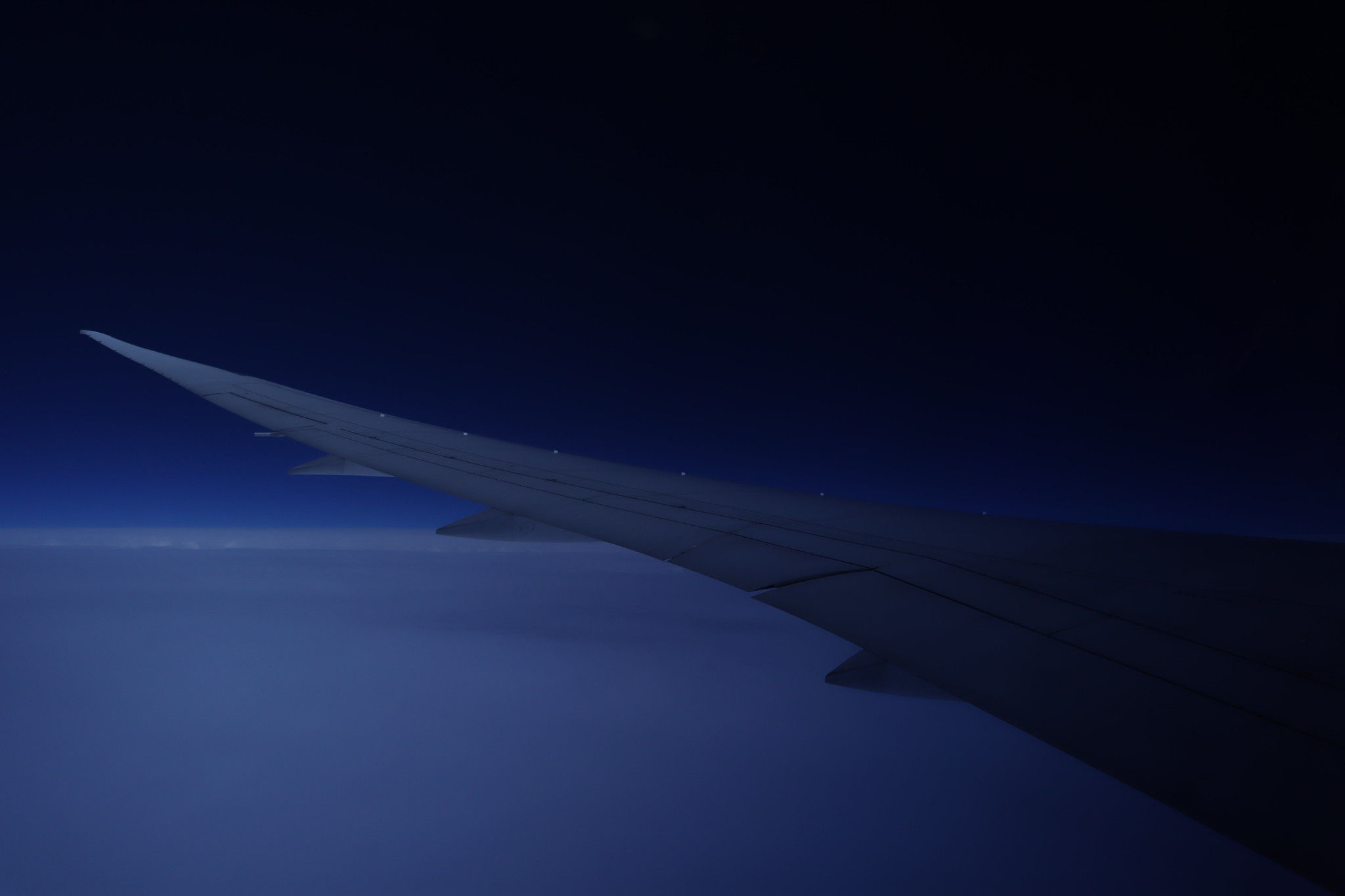 47805300971_683ee41fc4_k.jpg