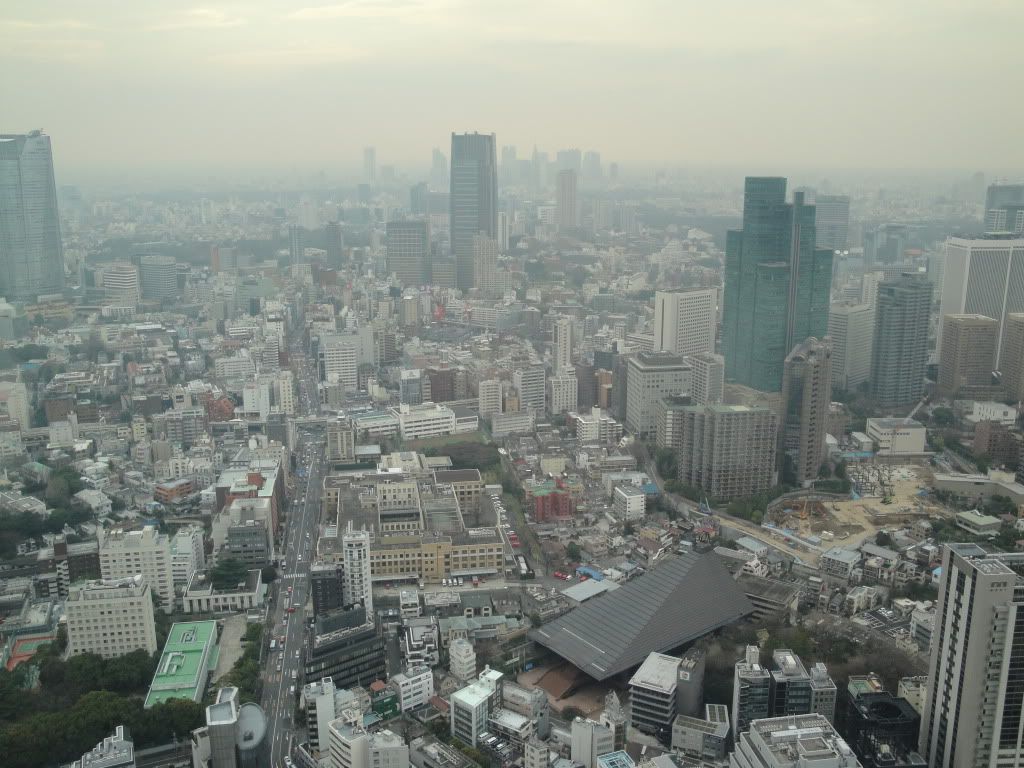 DSC01783.jpg
