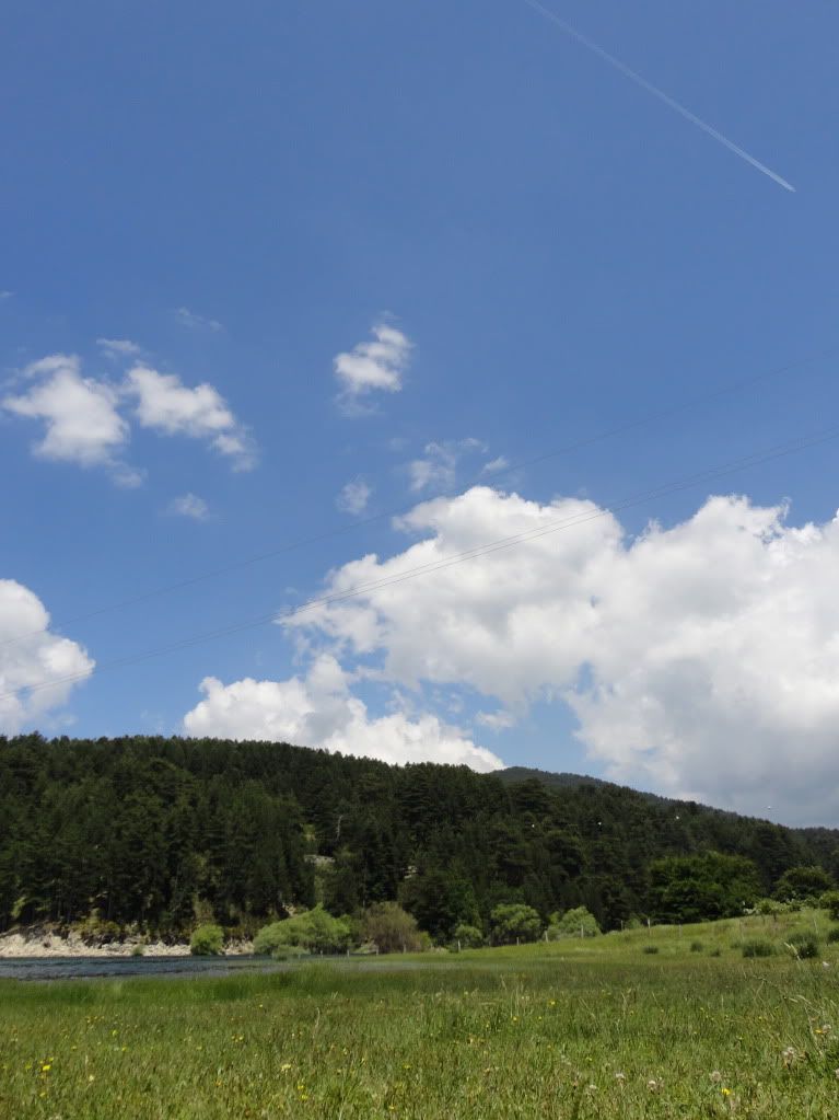 DSC00440.jpg