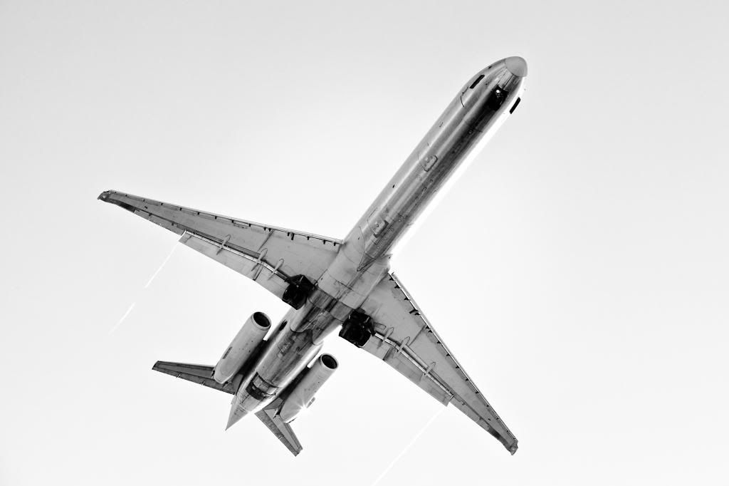 Maddog2_zpse0101ef3.jpg