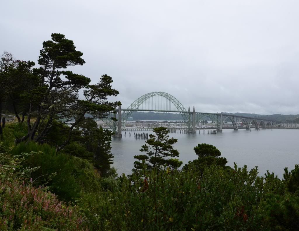 DSC_1628.jpg