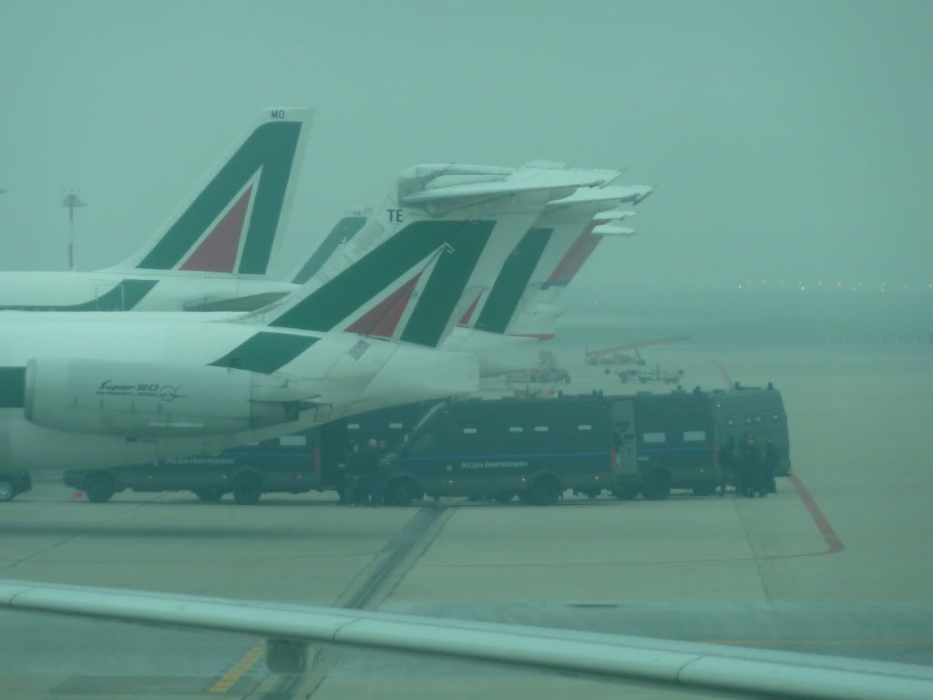 P1000225.jpg