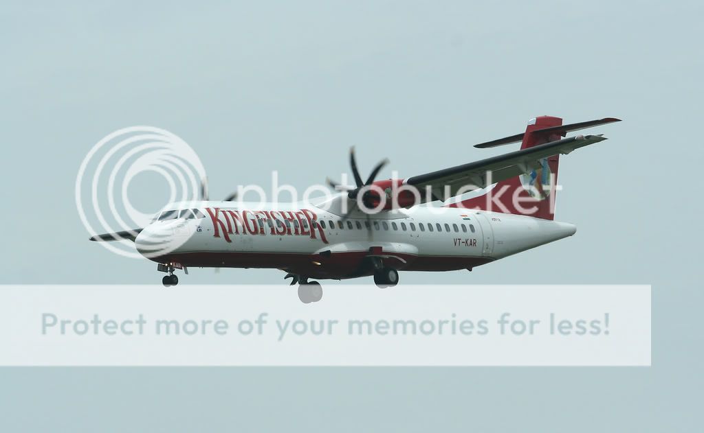 005-KINGFISCHER-VT-KAR-ATR721.jpg