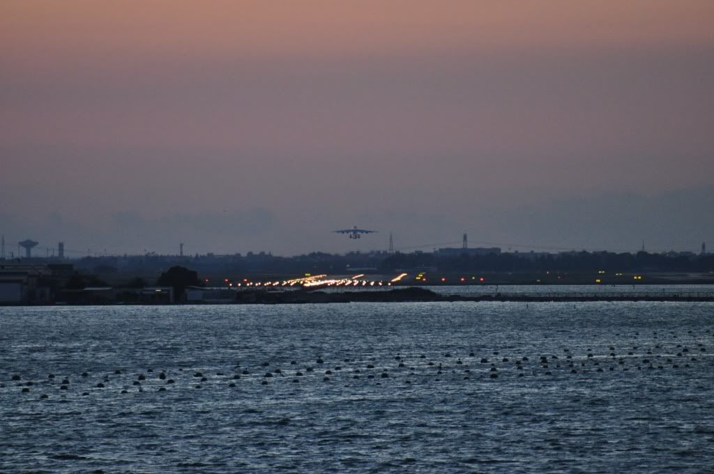 DSC_0339.jpg