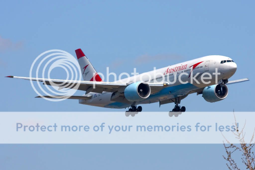IMG_0083-OE-LPB.jpg