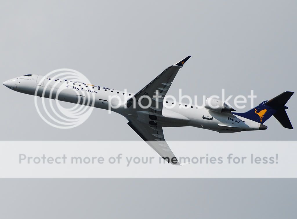 EI-DOU.jpg