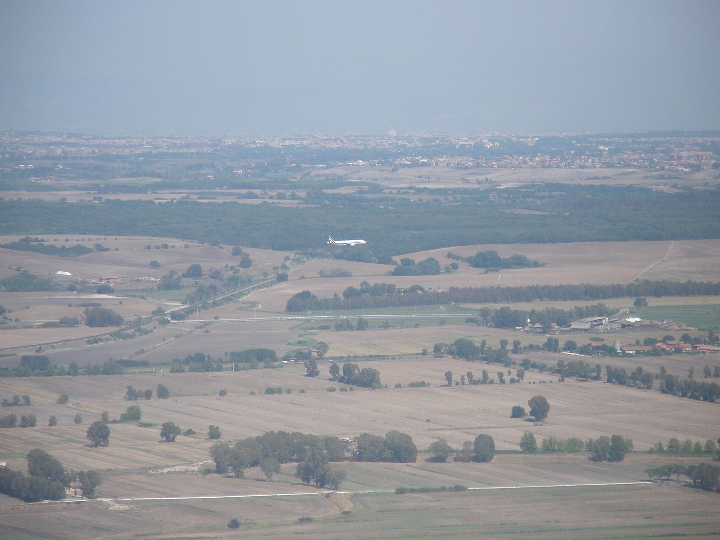 2356.jpg