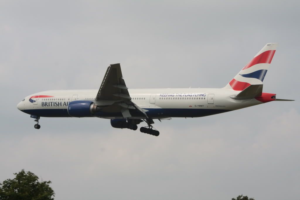 77.jpg