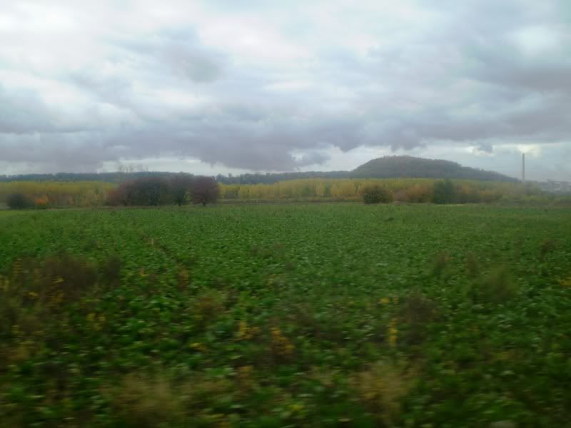 PB040230.jpg