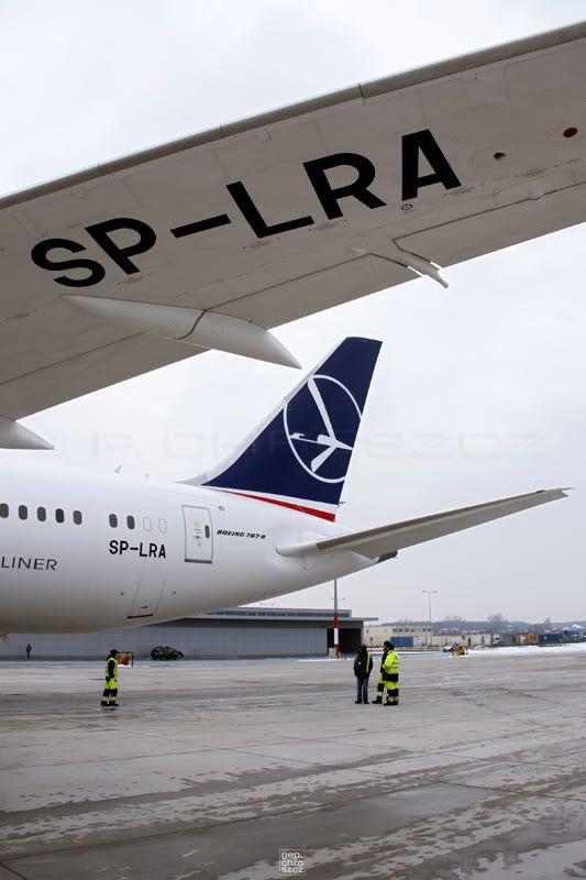 787_FlgelBS.jpg