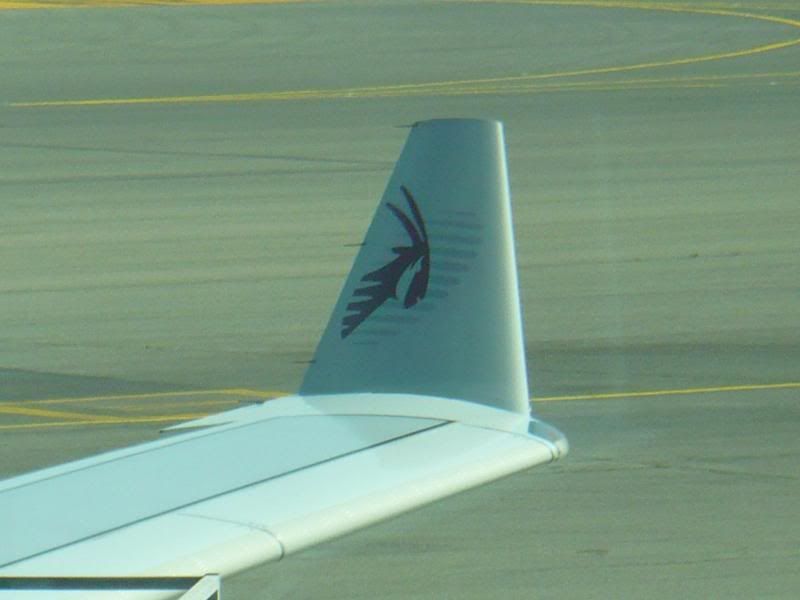 P1000209.jpg