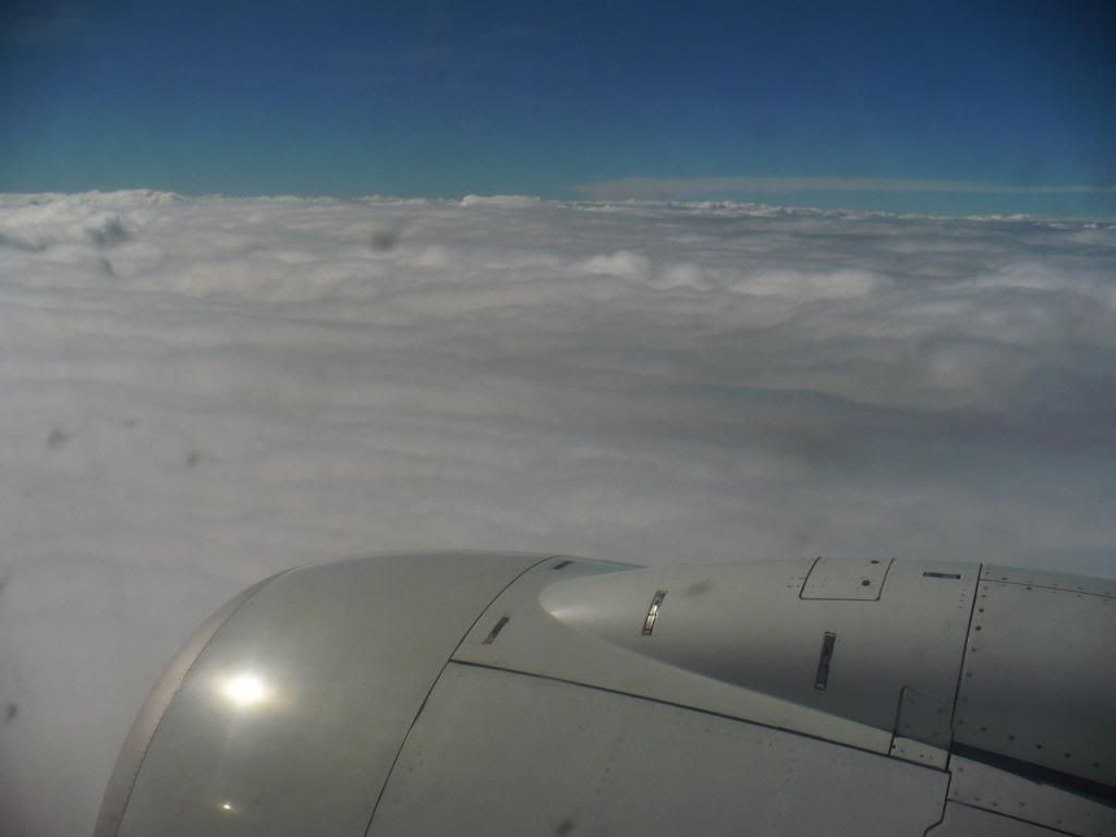 P1010401.jpg