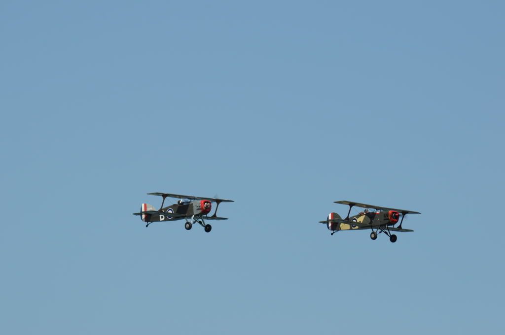 DSC_0231.jpg