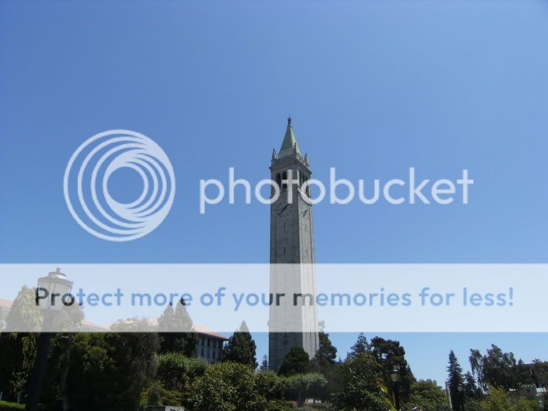 California031.jpg
