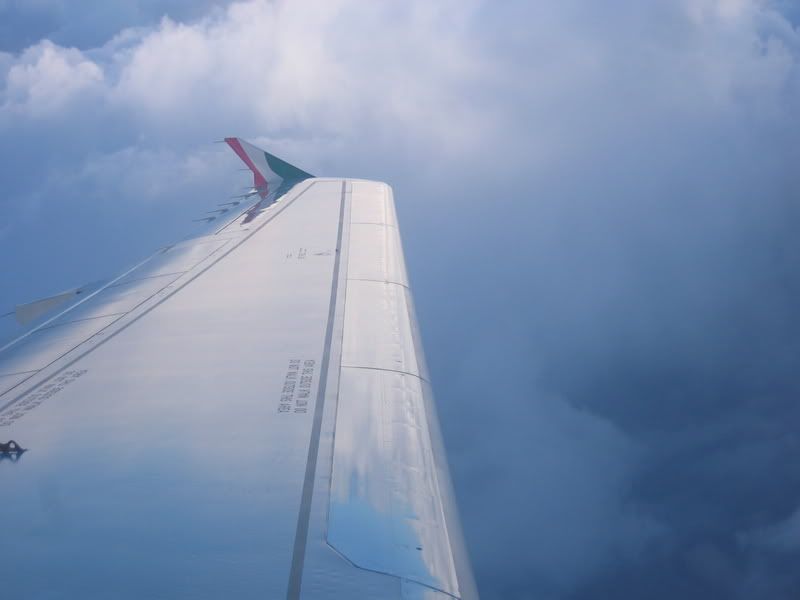 fin012.jpg
